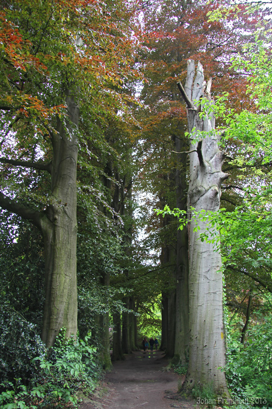 Het park Den Brandt 