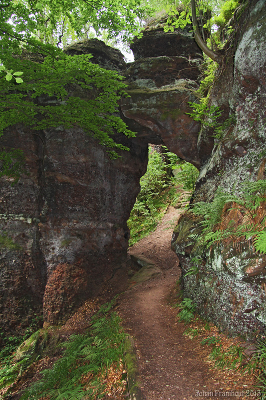 Nideggen: de vergezichtenwandeling