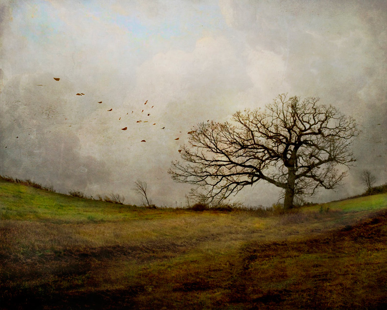 Jamie Heiden, Until soon