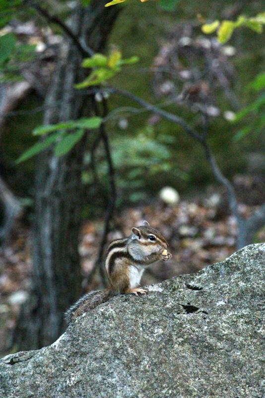 Seoraksan National Park