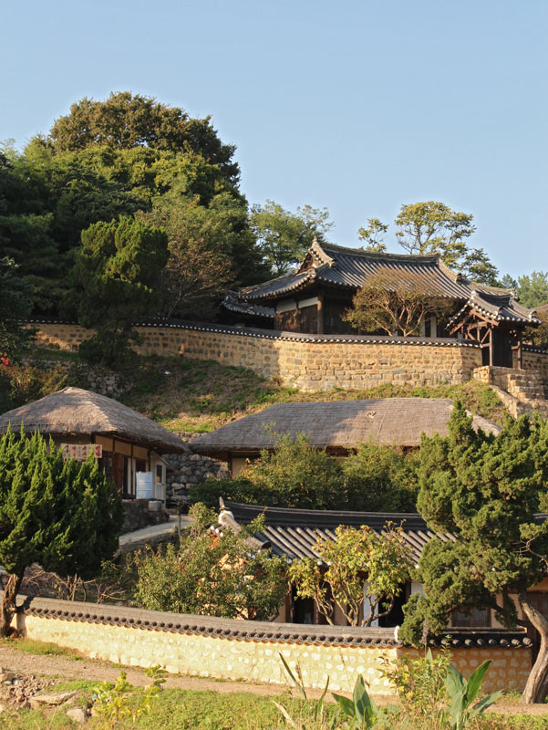 Yangdong