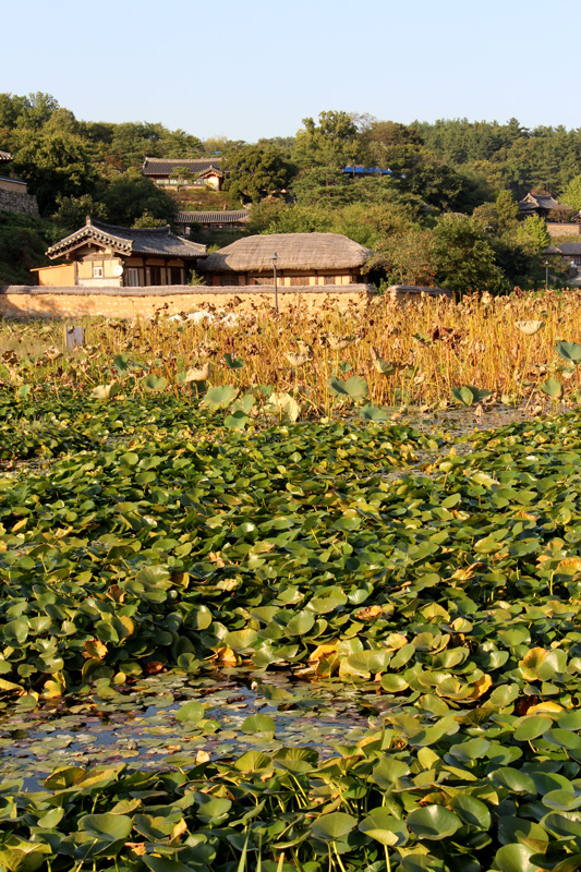 Yangdong