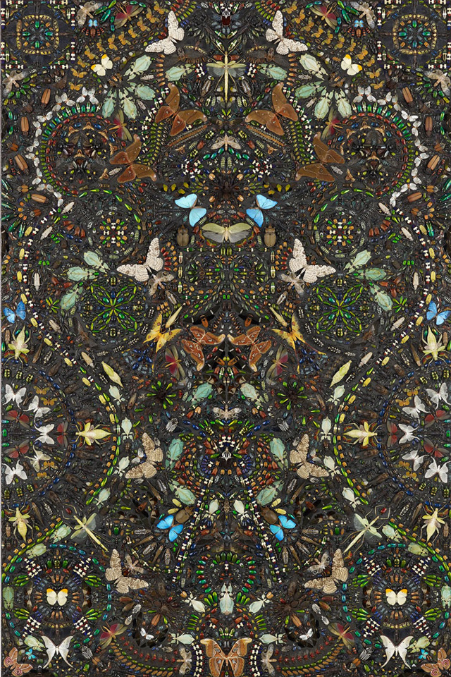 Damien Hirst, Ptolomea