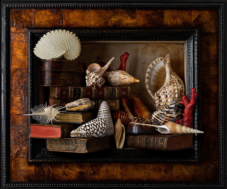 Kevin Best, Still Life with Shells and Books