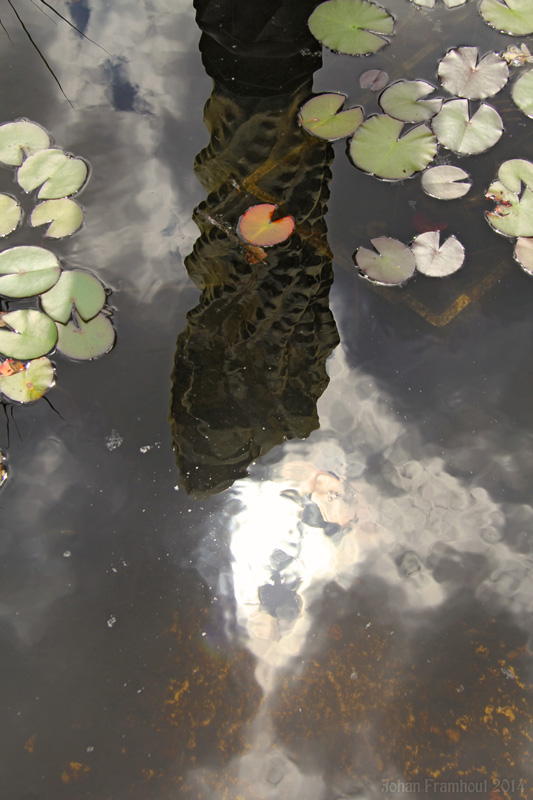 Art7d.be, Kunst in België, Fotografie van beelden in het Middelheim beeldenpark te Antwerpen, p3, Tijdelijke tentoonstellingen 1