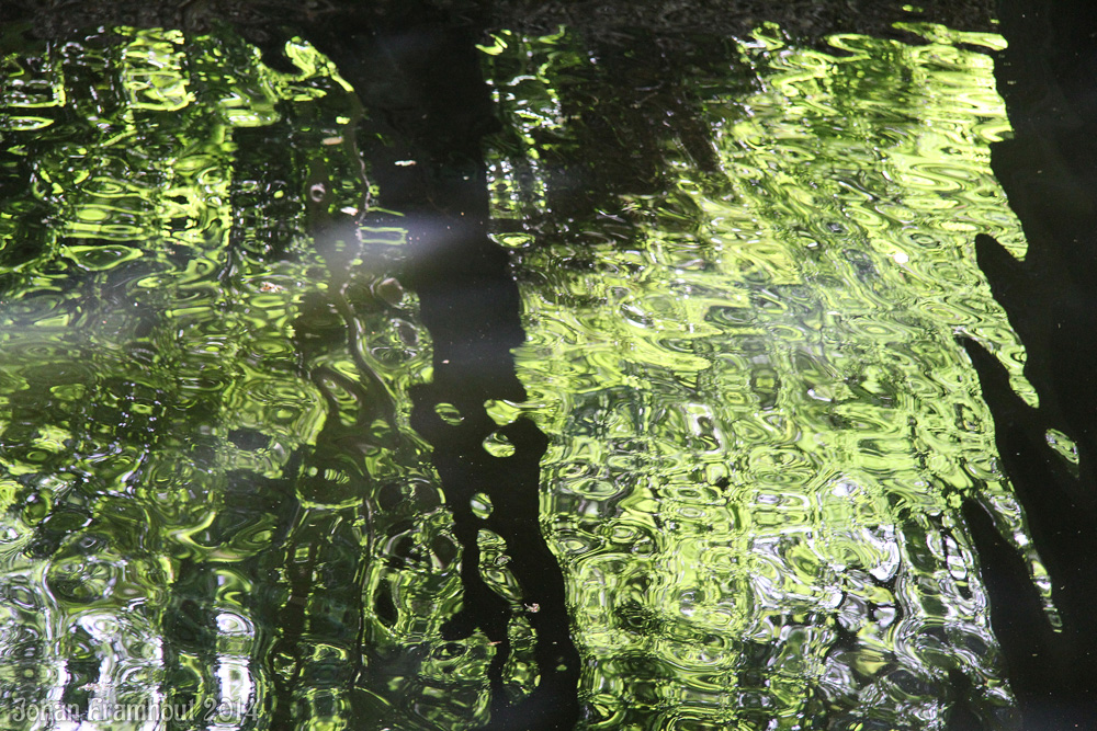 Art7d.be, Kunst in België, Fotografie van beelden in het Middelheim beeldenpark te Antwerpen, p4, zomer