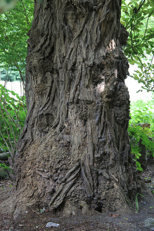 Art7d.be, Kunst in België, Fotografie van beelden in het Middelheim beeldenpark te Antwerpen, p4, zomer