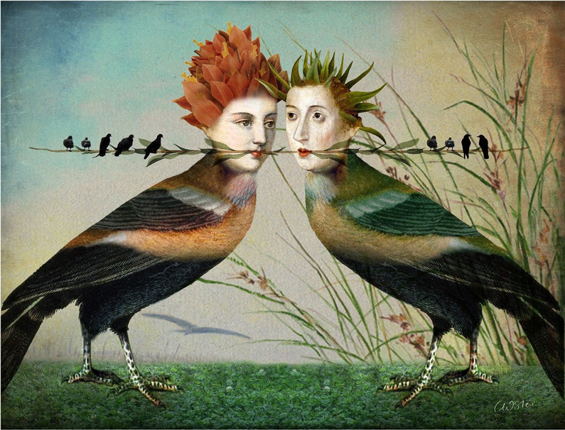 Catrin Welz-Stein
