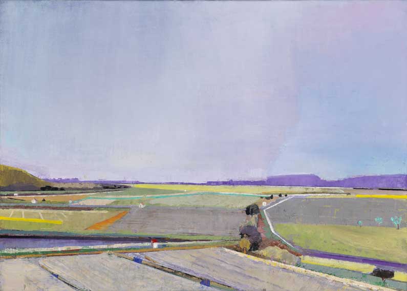 John Evans, Fields with Cottages in Benyak