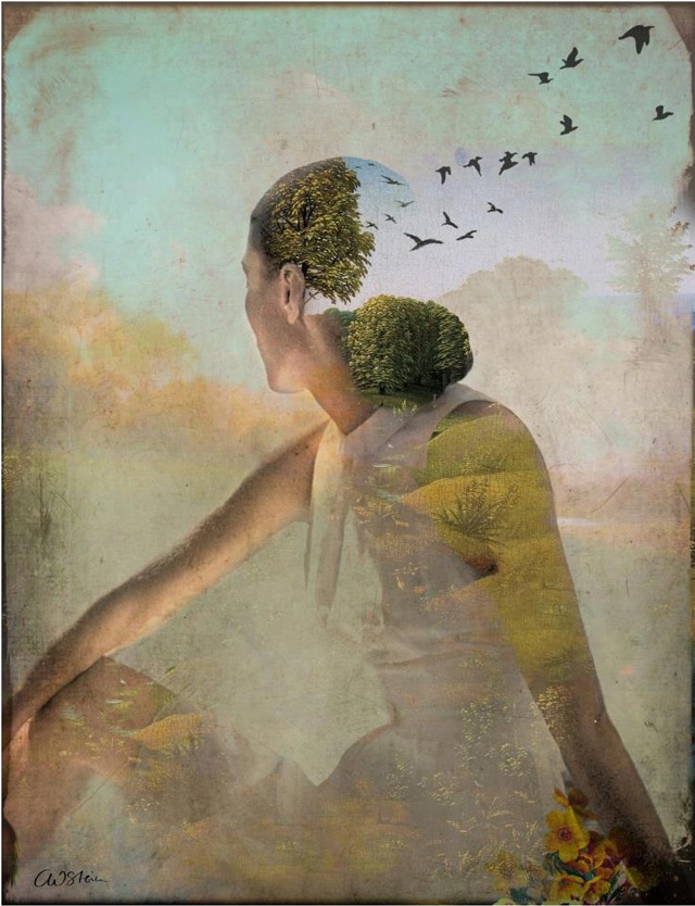 Catrin Welz-Stein