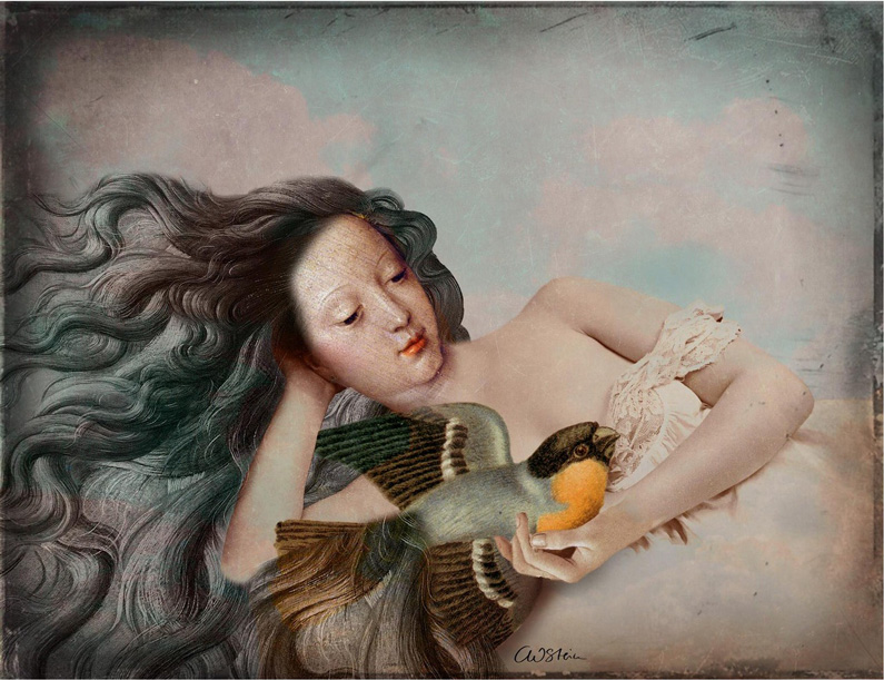 Catrin Welz-Stein