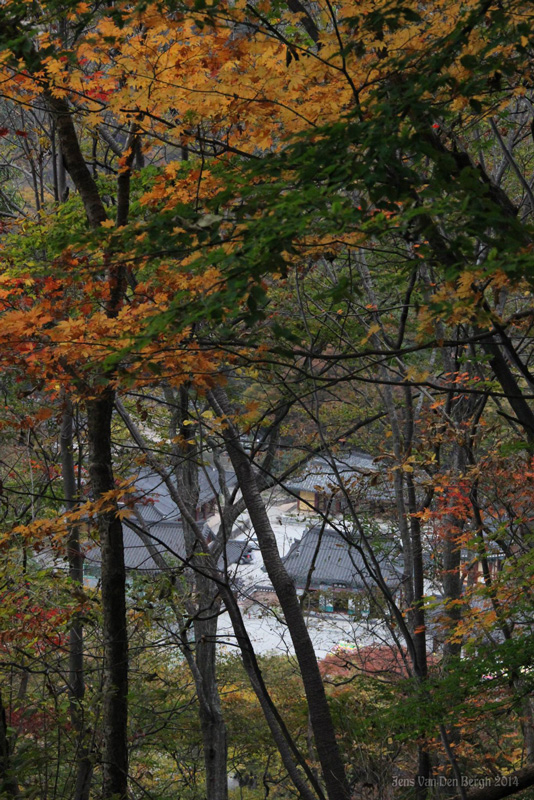 Naejangsan National Park