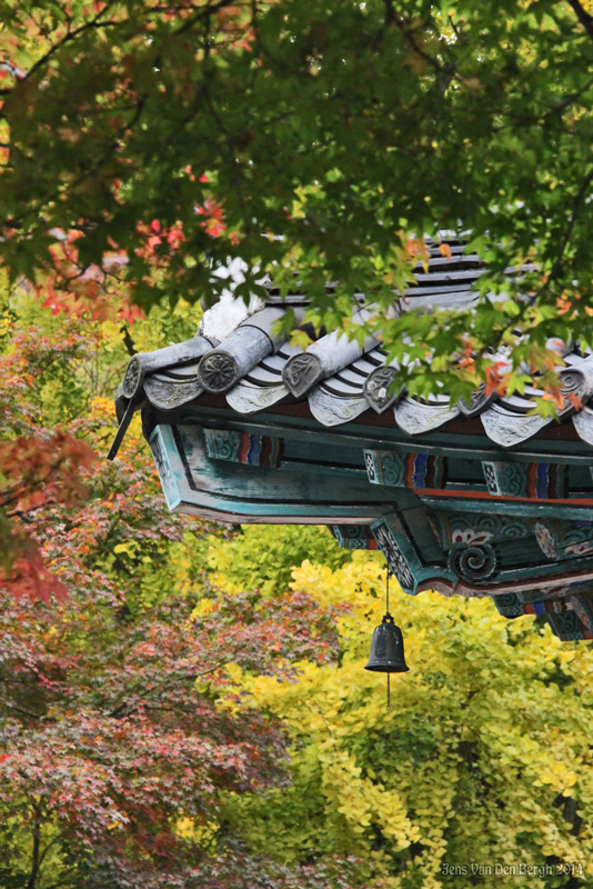 Naejangsan National Park