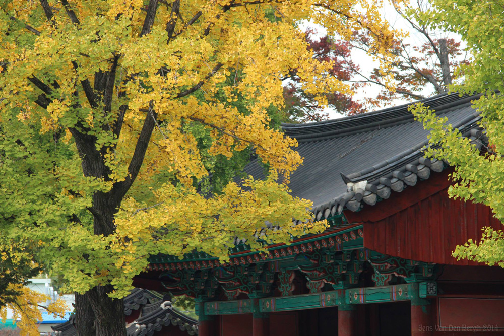 Korea, Jeonju