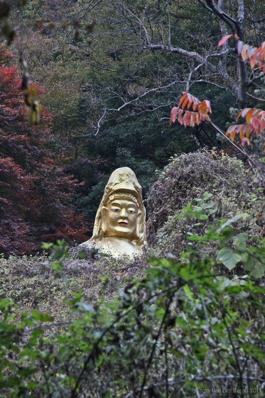 Naejangsan National Park