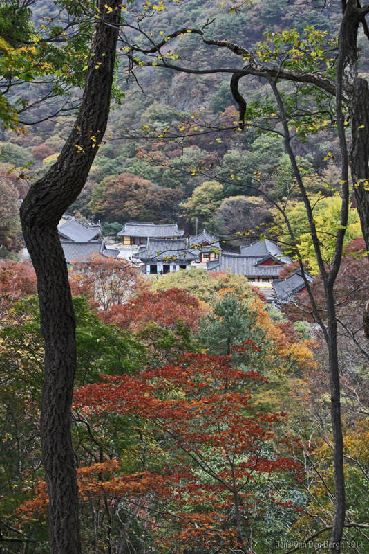 Naejangsan National Park