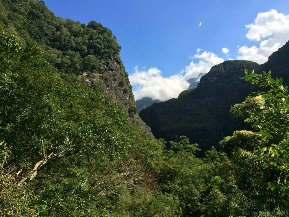 Taroko