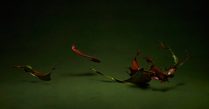 Shinichi Maruyama 