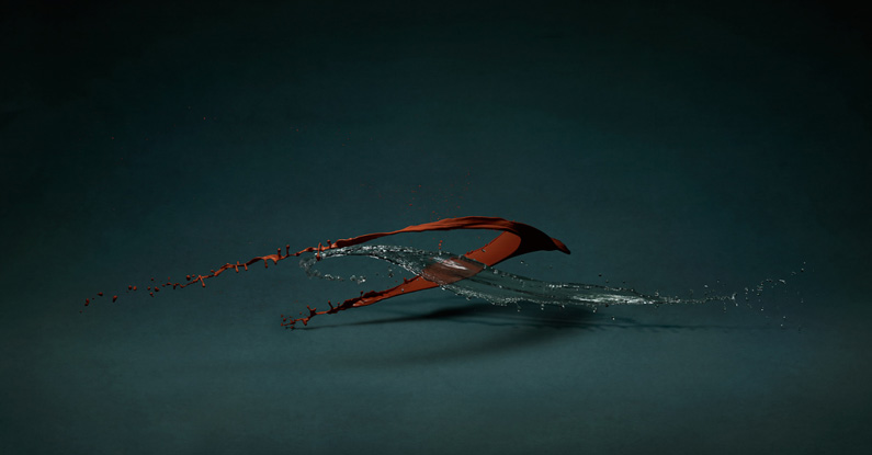 Shinichi Maruyama