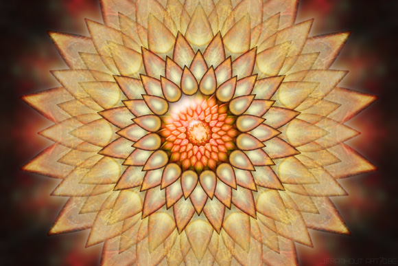 My new art, abstract & symmetrical, "Flower Sun" 