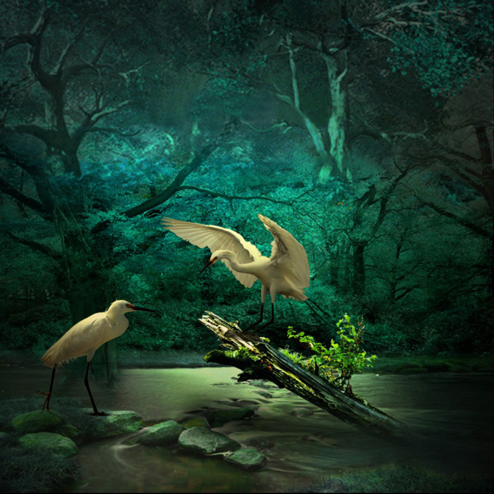 Jaci Lopes dos Santos, A River in the Forest (photomanipulation)